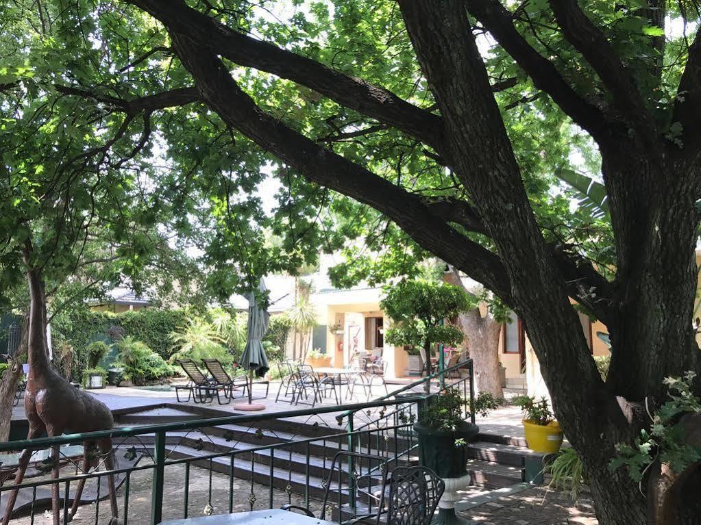 Elizabeth Manor Guest House Johannesbourg Extérieur photo